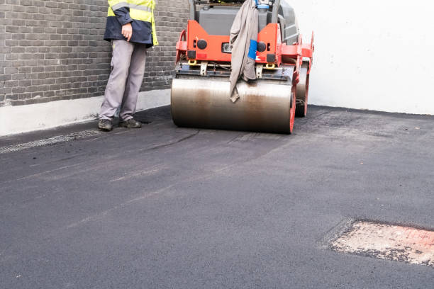 Professional Driveway Paving Services in Seco Mines, TX